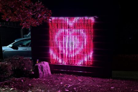 Govee Curtain Lights Pro