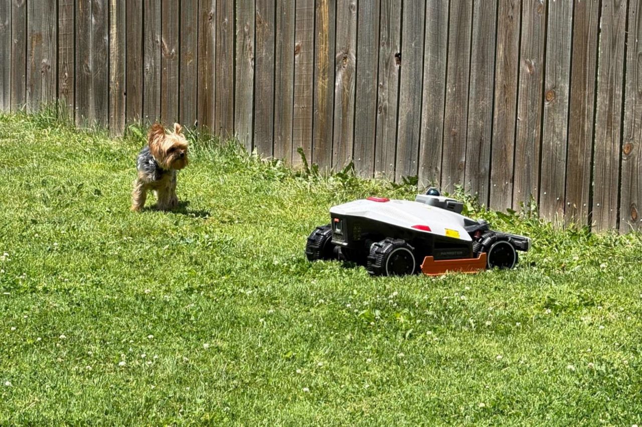Mammotion LUBA 3 AWD Robot Mower